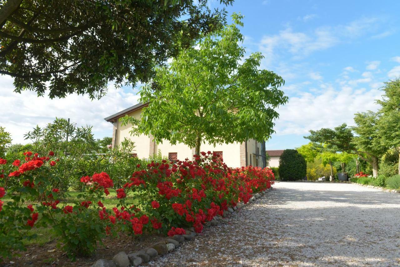 B&B Ca Di Viazadur Faenza Eksteriør bilde